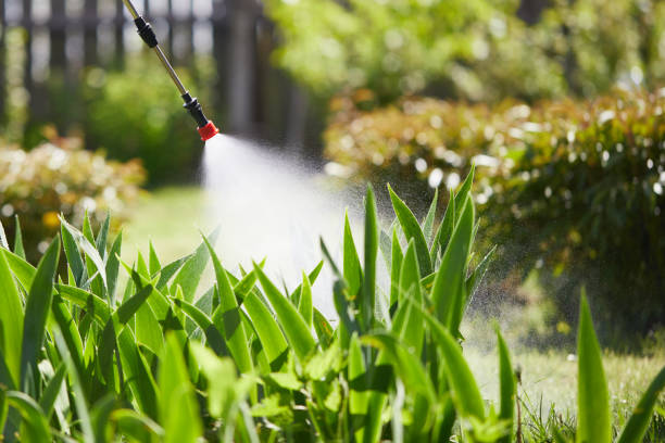 Tamper-Resistant Bait Stations for Rodents in Munford