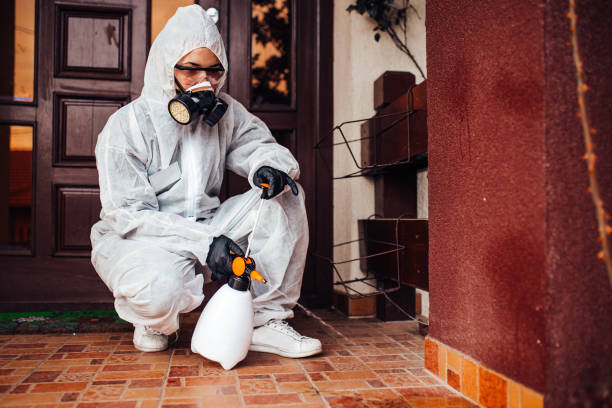 Attic and Crawl Space Rodent Treatment in Munford
